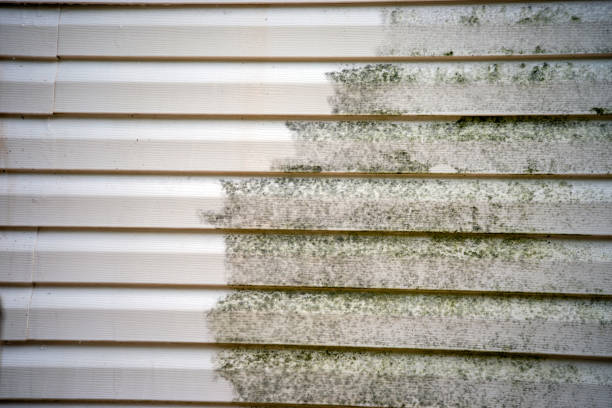 Affordable siding repair and maintenance services in Baldwin, LA