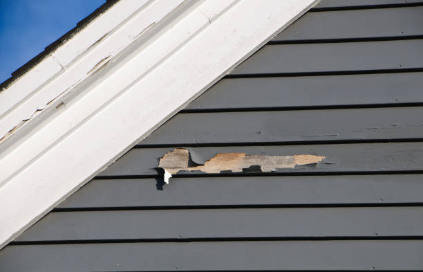 Best Historical Building Siding Restoration  in Baldwin, LA